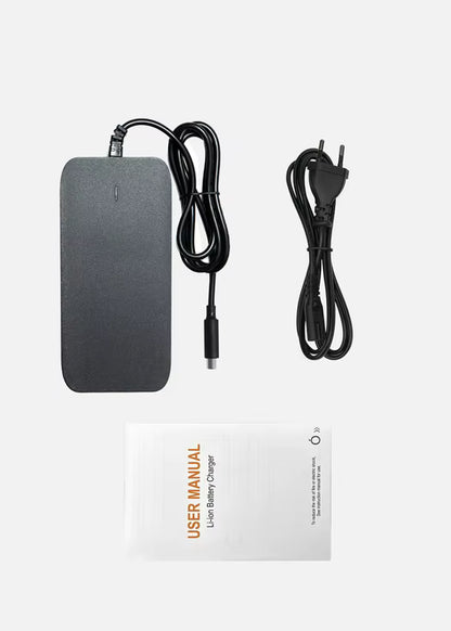 Engwe Oplader