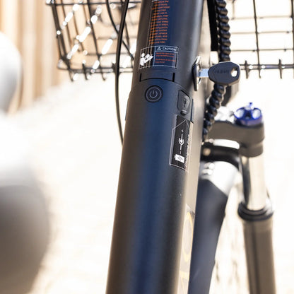 Vomobike CS20